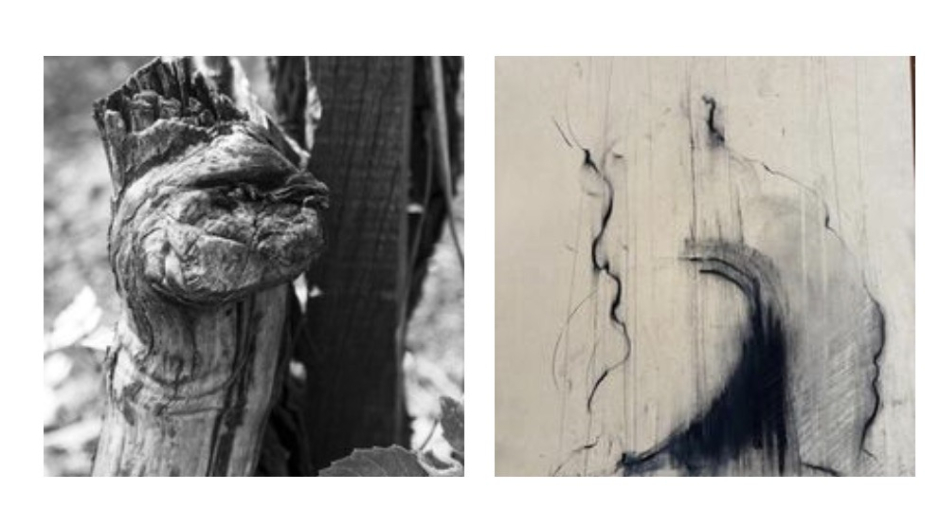 “Pareidolia”, il 10 maggio inaugurazione mostra a Villa Picchetta